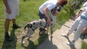 2023/2023.9.18./X.R | Seg&iacute;tő Angyalok