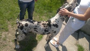 2023/2023.9.18./X.R | Seg&iacute;tő Angyalok